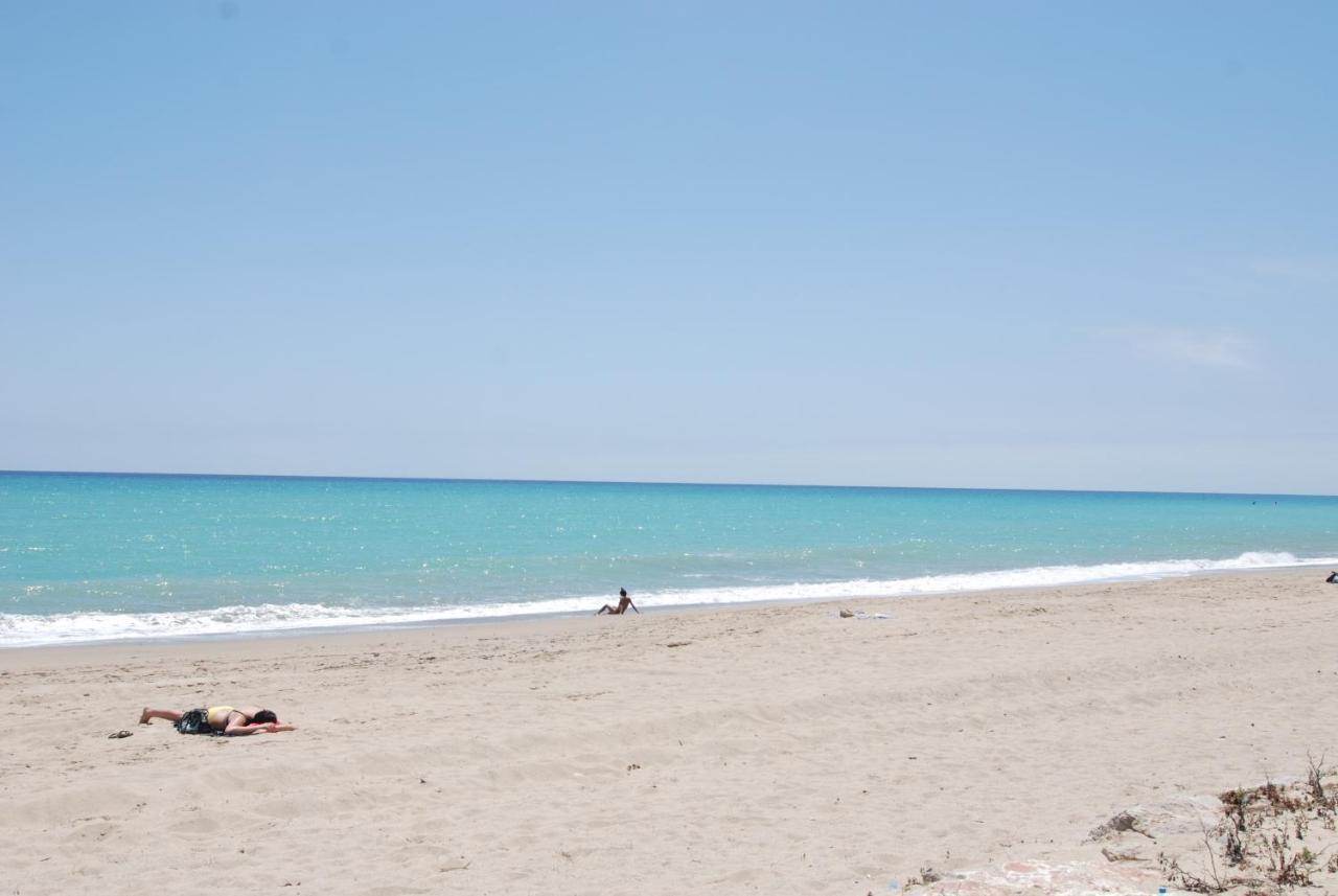 Zeus Guardamar Seaview Apartment Miami Playa Exterior foto